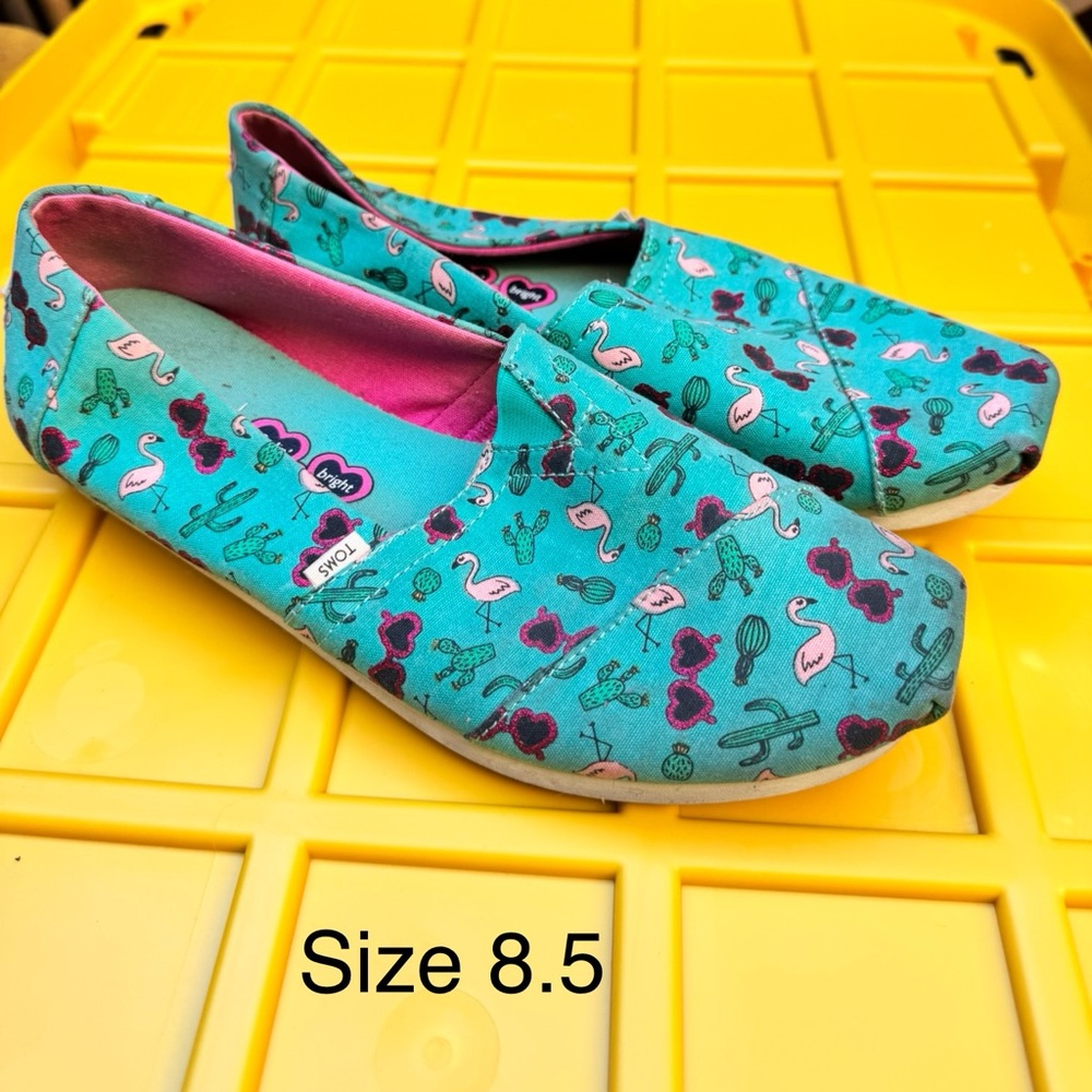 Tom’s flamingo shoes